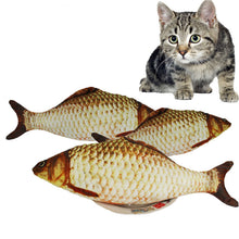 Cat Favor Fish Toys