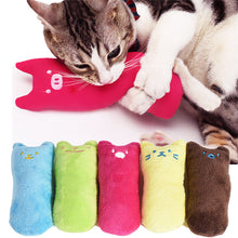 Cute Interactive Fancy Pets Teeth Grinding Catnip Toys