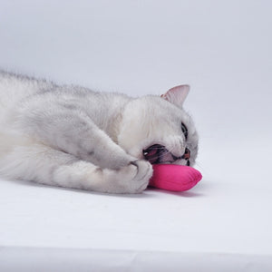 Cute Interactive Fancy Pets Teeth Grinding Catnip Toys