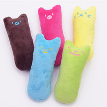 Cute Interactive Fancy Pets Teeth Grinding Catnip Toys