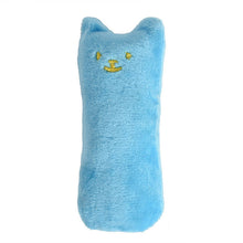 Cute Interactive Fancy Pets Teeth Grinding Catnip Toys