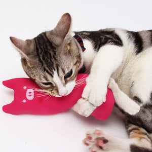 Cute Interactive Fancy Pets Teeth Grinding Catnip Toys